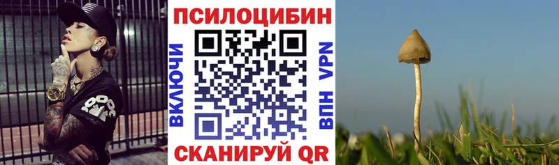 Галлюциногенные грибы мухоморы Электросталь