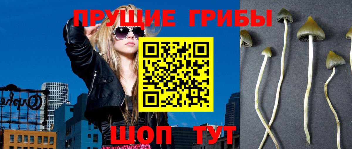 Галлюциногенные грибы GOLDEN TEACHER  Вход с VPN  купить наркоту  Электросталь 