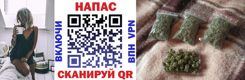 купить наркотик  Электросталь  Канабис тримм 